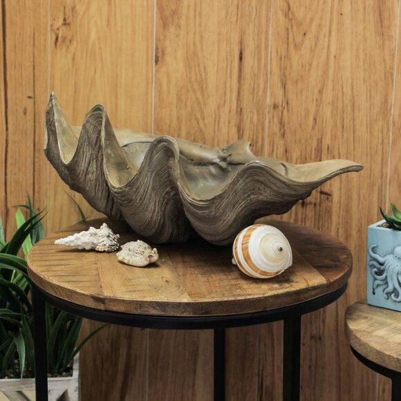 Lifelike Cast Polyresin Giant Clam Shell Decorative Bowl - Picture 7 of 9
